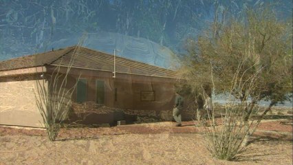 Meet Trucker, the Rescued Desert Tortoise Capturing Hearts Everywhere