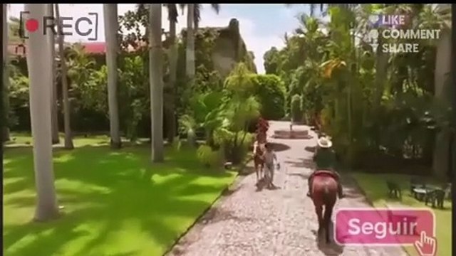 Doménica Montero - Capitulo 21