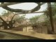 Trailer Ubidays 2008 Far Cry 2 20minutes jeux vidéo