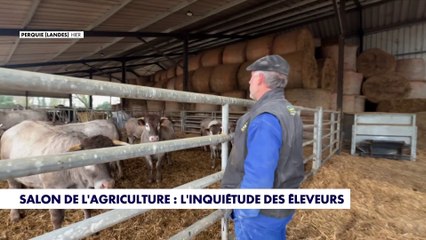 Dermatose bovine : la crainte des agriculteurs pour le prochain Salon de l’agriculture