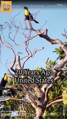 From Lost Heiress to Royal Highness Short Drama Full HD I Best ShortFilms Hot Billionaire CEO Unexpected Love Emotional Romance Series