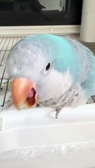 #funny video #shortvideo #viralvideo #funnyadda#