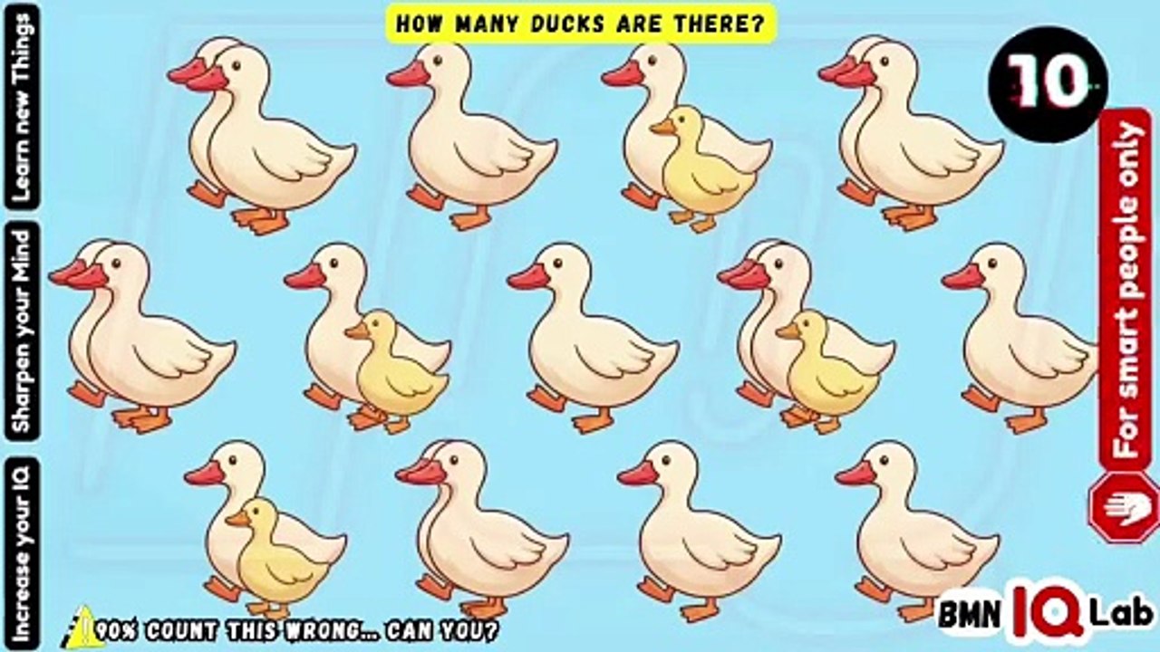 #TryIfYouCan 🤷🔥 How Many Ducks Are There? 🦆