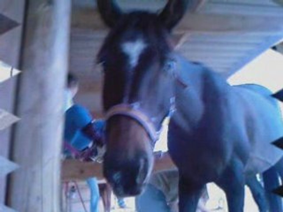 Celuuii kii dOnne uun sens a ma viie