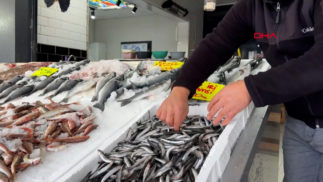 'Karadeniz’de yoğun av baskısı sonucu hamsi Gürcistan’a göç etti'