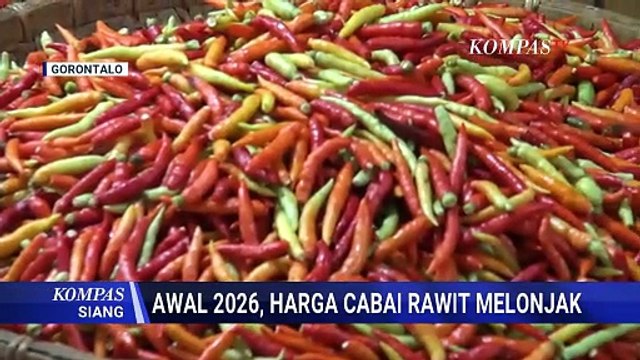 Harga Cabai di Gorontalo Melonjak Drastis Awal 2026, Capai Rp 50 Ribu per Kilogram
