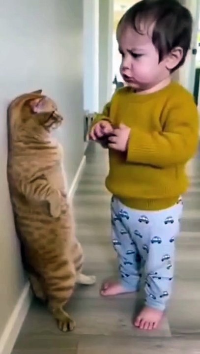 baby and cart