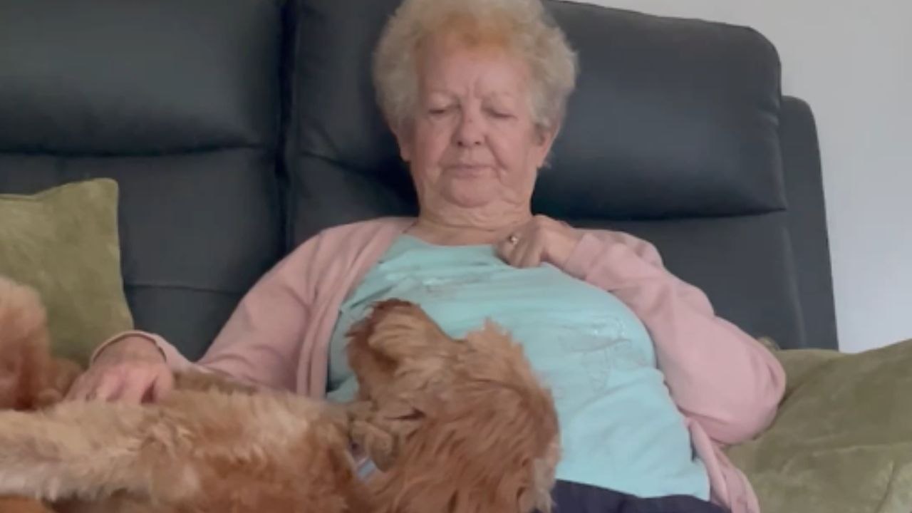 Nana trains an adorable dog to sing perfectly i...