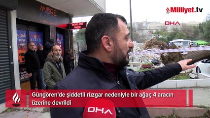 İstanbul’da dev ağaç 4 aracın üzerine çöktü