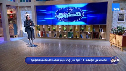 مفاجأة غير متوقعة.. 13 خلية نحل و25 كيلو عسل داخل مقبرة بالمنوفية