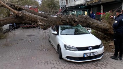 İstanbul'da lodos ağaçları devirdi: '1 saniyeyle kurtuldum'