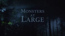 Monsters at Large / Monsterbusters
