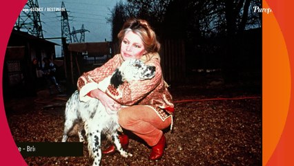 Brigitte Bardot et Jean-Paul Belmondo : le cliché de leur ultime rencontre révélé par son fils