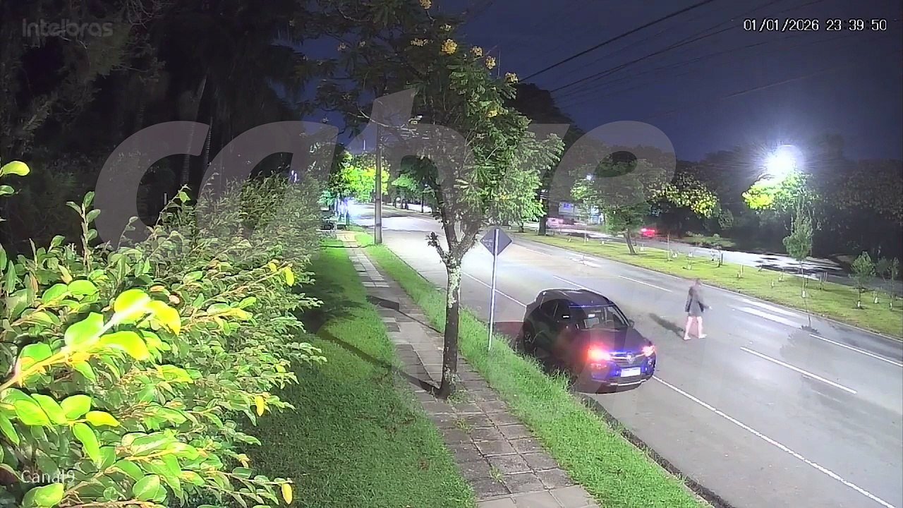 Pela segunda vez, câmera flagra mulher vandalizando árvores em avenida de Curitiba