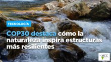 COP30 destaca cómo la naturaleza inspira estructuras más resilientes