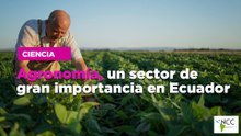 Agronomía, un sector de gran importancia en Ecuador