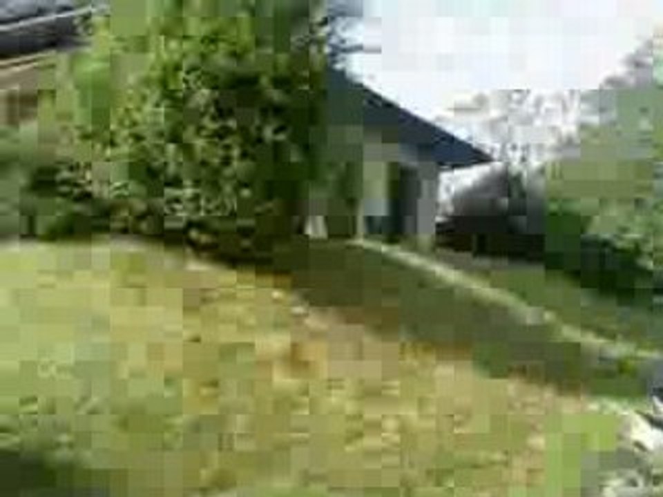 Video-0008