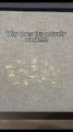 Pet owners are loving this! ⭐A simple mitt that makes pet hair cleanup fast and stress-free.Don’t miss out — shop now 🐶🐱