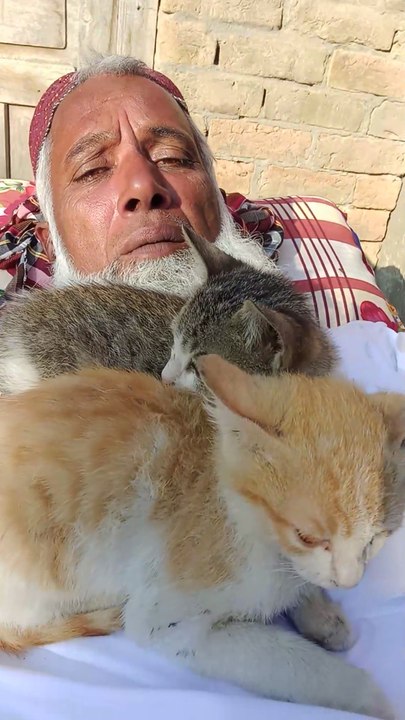 Me and My cats   #Justtreend #ReleaseSohrabBarkat #fpyシviralpicture #ｆｐｙシ #fpyシviral #viralreels #fbreels #fpypage #fpy #hoom #trending #viral #viralvideo #viralreelschallenge #viral #fpypageシ #fpy #cat #animal