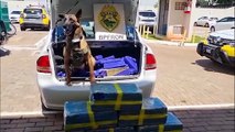 Após acompanhamento tático, BPFron apreende carro carregado de maconha em Cascavel
