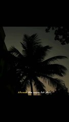 Chasing Dreams Alone | Best Self-Love Journey | Powerful Motivational Music | Personal Growth | Emotional Short Video