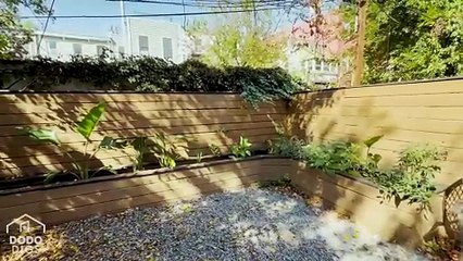 What It s Like Living With Two Great Danes In A Small NYC Apartment _ The Dodo