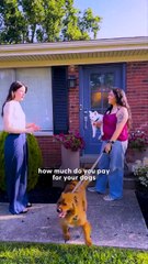 Welcome To Dodo Digs _ Dodo Digs