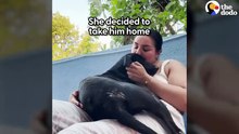 She Rescued A Dog While On Vacation In Cancun _ The Dodo