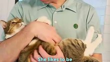 Karen The Cat Is Obsessed With Doing Everything Her Dad Does _ The Dodo
