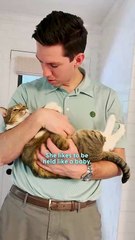 Karen The Cat Is Obsessed With Doing Everything Her Dad Does _ The Dodo