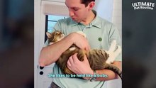 Karen The Cat Is Obsessed With Doing Everything Her Dad Does _ The Dodo