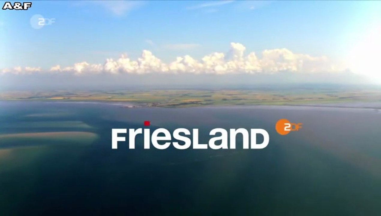 Friesland -10- Aus dem Ruder