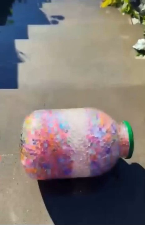 ❤️🎉Bottle Clash 🎉❤️