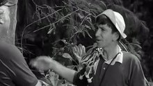 Gilligan's Island - S1xE12 - Birds Gotta Fly, Fish Gotta Talk