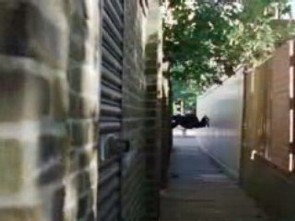 "dangerous ground"no more landmines./sol dangereux