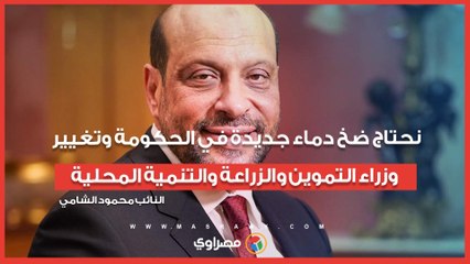النائب محمود الشامي: نحتاج ضخ دماء جديدة في الحكومة وتغيير وزراء التموين والزراعة والتنمية المحلية