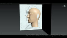 Flame: 3DS MAX Practice Polygon Modeling Head Model Video #97 (01-04-2026)