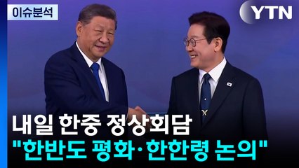 내일 한중 정상회담...한반도 평화·서해·한한령 논의 주목 / YTN