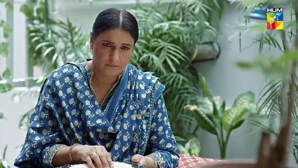 Meri Bahuain ep 16 Pakistani drama