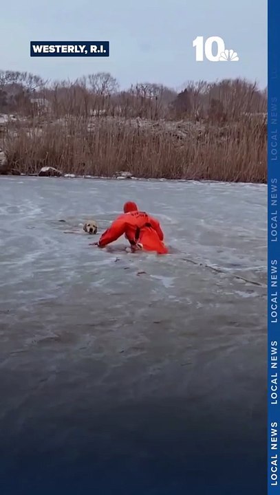 Belle histoire : Regardez les pompiers de de Misquamicut, dans l’État de Rhode Island, qui déploient de gros moyen pour sauver un chien qui est passé à travers la glace d'un lac gelé