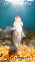 A Fish Fishing For Anglers