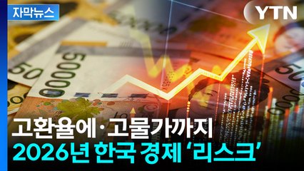 [자막뉴스] 2026년에도 '고환율' 지속되나...올해 한국 경제에 닥친 위기 / YTN