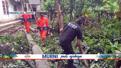 Hujan Deras-Angin Kencang, Pohon Besar Roboh & Hancurkan Atap Rumah di Pandeglang