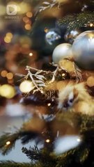 Santa Sent Me a Billionaire Husband EngSub #dramashorts