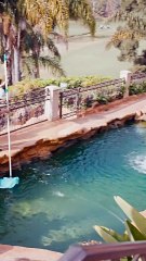 Capturando Su Corazón con Mis Gemelos (Doblado)