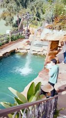 Carrying His Babies, Stealing His Heart