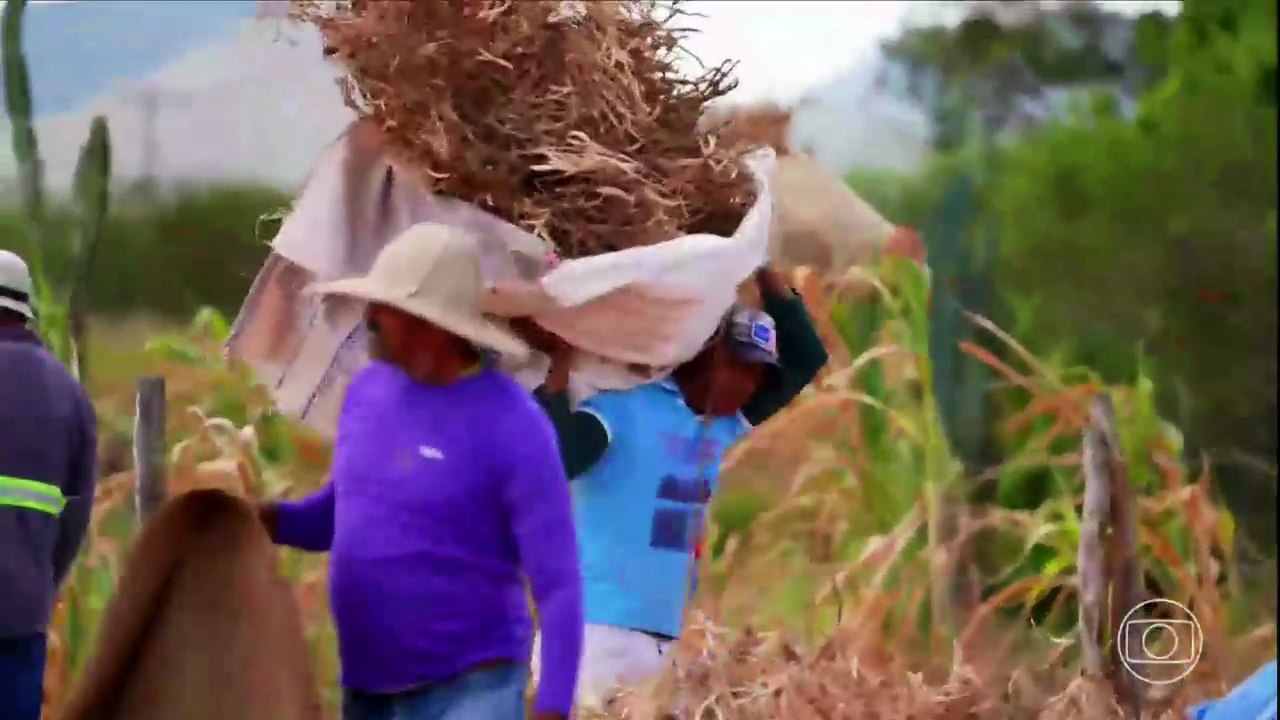 Globo Rural hoje (04/01): O que foi destaque na edição de aniversário