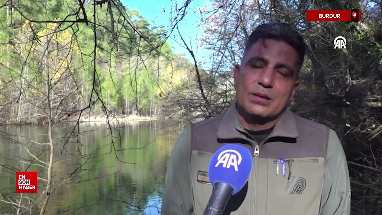 Burdur'da koruma altındaki sığla ormanının güzellikleri tekne turuyla keşfediliyor