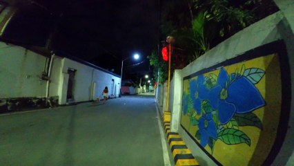 Dog Walking on Dimatimbangan Street in Paranaque City in the Philippines