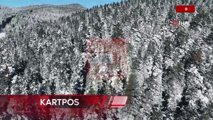 Bolu’da Sarıalan Yaylası kışla birlikte beyaza büründü